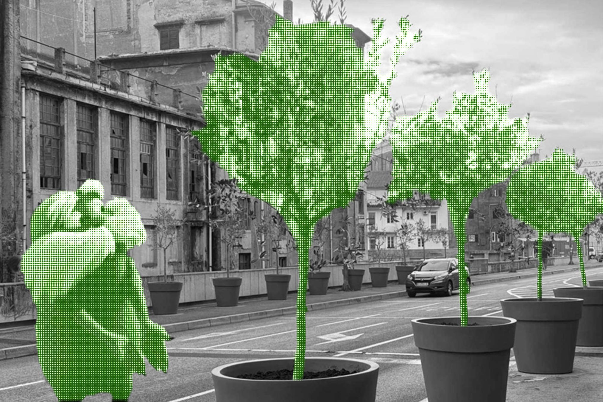 Ivarhija i betonske vaze u <centru>